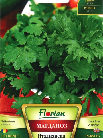 Gigant Italian - 100 gr - Seminte de Patrunjel Gigant Italian Foarte Productiv de la Florian