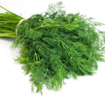 Marar Comon - 100 gr - Seminte de Marar Comon Soi Productiv de la Florian Bulgaria