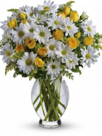 Margarete albe (0.4 gr) seminte de flori, Agrosem