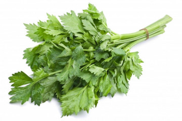 Pascal (2 gr) telina de frunze, Agrosel
