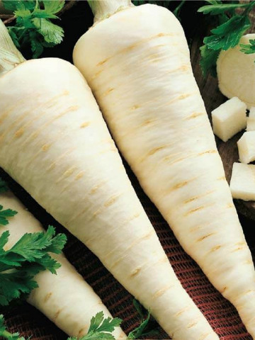 Patrunjel radacina Alba (1 kg), seminte de patrunjel cu radacina foarte aspectuoasa de culoare alba, Agrosem