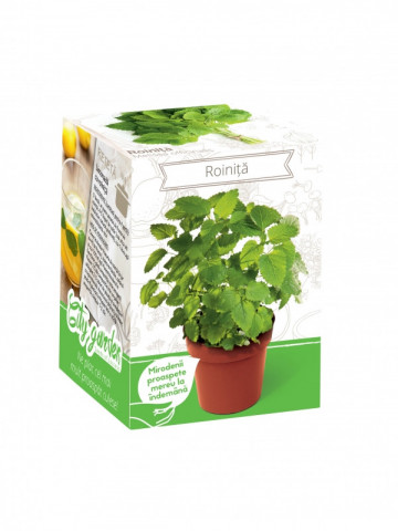 Roinita - Kit plante aromatice