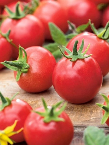 Rosii Rubinka (60 seminte) tomate tip cherry cocktail cu fructe mici
