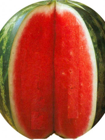Royal Fantasy F1 (50 seminte) pepene verde tip Crimson Sweet, Hektar