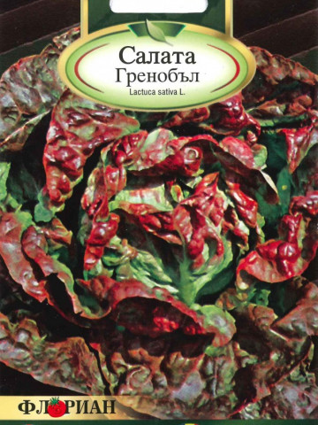 Salata GRENOBLE - 2 gr - Seminte de Salata Grenoble de la Florian Bulgaria