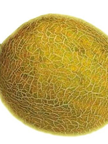 Seminte pepene galben Supra F1 (500 seminte), hibrid extratimpuriu, De Ruiter Seeds