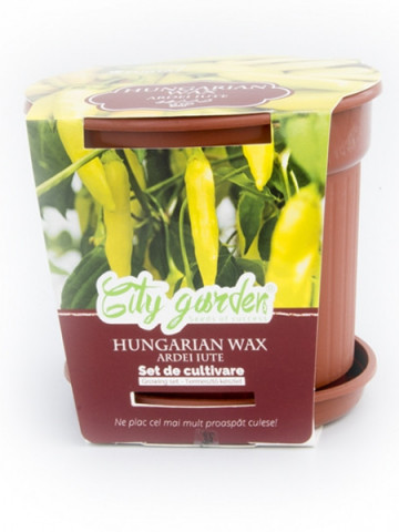 Set de cultivare - Ardei iute Chilli Hungarian Wax, Colectia City Garden