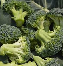 Stromboli F1 (1000 seminte) de broccoli primavara/toamna, 75-80 zile, 1-1.5 kg, Hazera