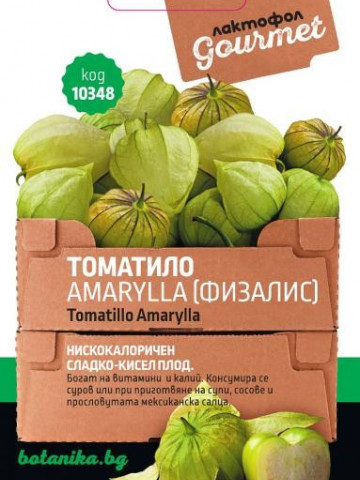 TOMATILLO AMARYLLA (Physalis ixocarpa) - 0.5 gr - Seminte de TOMATILLO AMARYLLA Physalis ixocarpa Gust Specific Dulce Acrisor