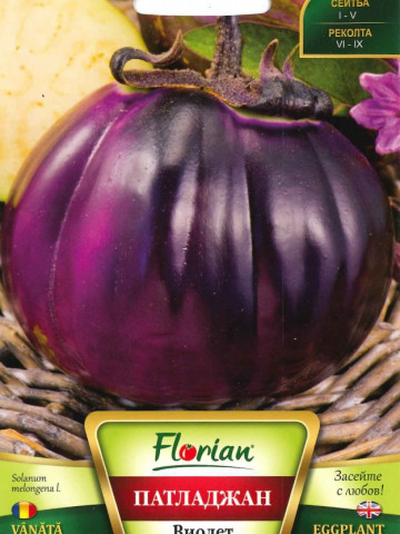 Vinete VIOLET DE FLORENS - 1 gr - Seminte de Vinete Florian Bulgaria Soi semitimpuriu