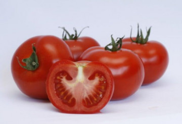 Abellus F1 - 100 sem - Seminte de tomate cu crestere nedeterminata de tip generativ recomandat pentru culturile din ciclul 1 si 2 in spatii protejate dar si camp deschis de la Rijk Zwaan