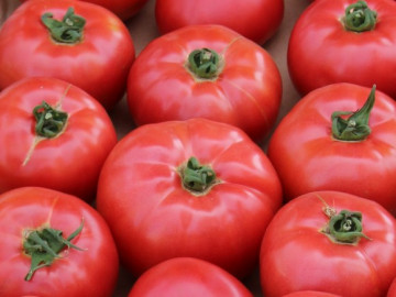 Aphen F1 (10 seminte) de tomate roz cu crestere nedeterminata, extratimpurii, Clause