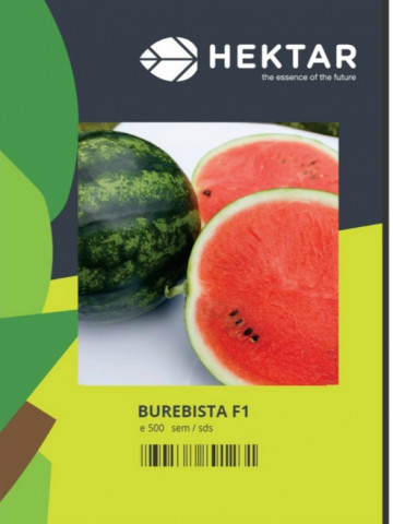 Burebista F1 (100 seminte) de pepene verde tip Crimson Sweet, Hektar