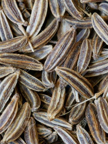 Chimion Medicinal (1.5 gr) seminte plante medicinale si aromatice chimion, Agrosem