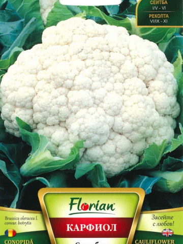 Conopida SNOWBALL - 50 g - Seminte de conopida Florian Bulgaria Soi semitimpuriu