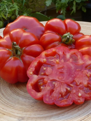 Costoluto Fiorentino (120 seminte) rosii crete soi productiv, Agrosem