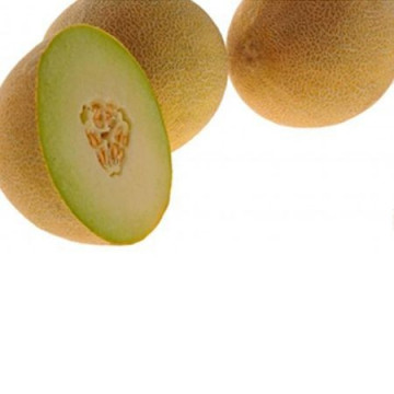 Courier F1 - 1000 sem - Seminte de pepene galben cu o productivitate si uniformitate ridicata de culoare alb-verzui foarte dulce de la Hollar Seeds