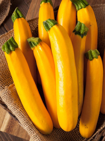 Dovlecel Golden F1 (14 seminte) hibrid timpuriu zucchini galben, Agrosem
