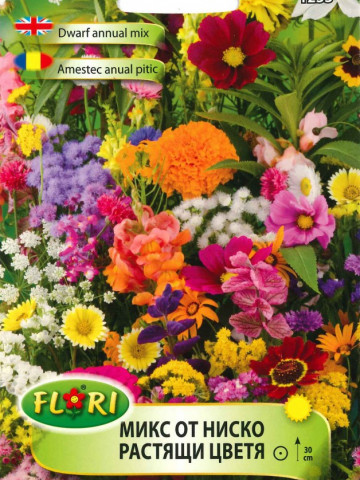 Flori Anuale Pitic Mix - Seminte Flori Pitic Mix de la Florian