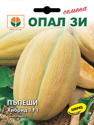 Hibrid 1 F1 - 50 gr - Seminte profesionale bulgaresti de pepene galben de la Opal