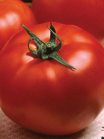 Optima F1 (15 seminte) tomate crestere nedeterminata semitimpurii, Seminis