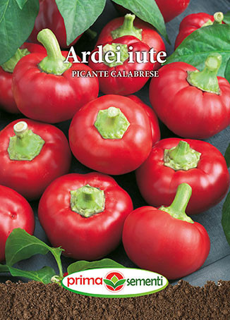Picante Calabrese (100 seminte) de ardei iute fructe tip cireasa, soi productiv bun pentru conservare, Prima Sementi