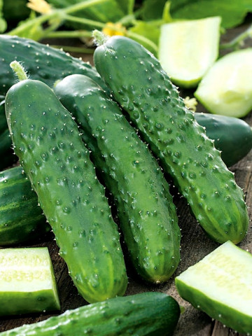 Prymus F1 (25 seminte) castraveti cornison japonez, cu o calitate si un gust excelente, TOKITA