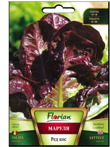Red Cos - 2 grame - Seminte de salata cu frunze delicate crocante de culoare rosu inchis ce se caracterizeaza printr-o rezistenta foarte mare la temperaturi joase si ridicate de la Florian