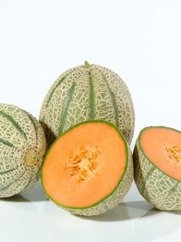 Retato Degli Ortolani - 2 gr - Seminte Pepene galben Retato Degli Ortolani Soi Timpuriu cu Miez Portocaliu Gust Excelent