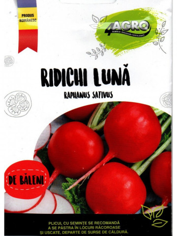 Ridichi de luna de Baleni (3 gr ) seminte de ridich de luna romanesti, Patru Agro
