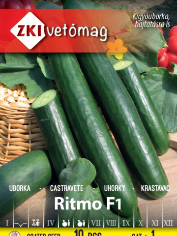 Ritmo F1 (10 seminte) de castraveti lungi timpurii, randament ridicat, ZKI