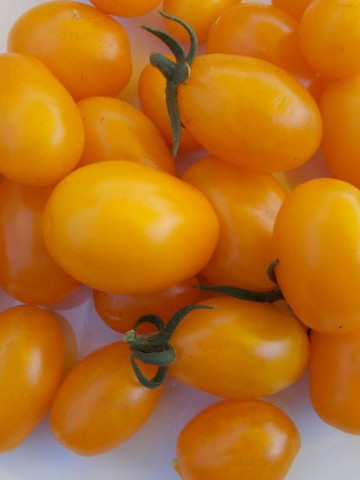 Rosii cherry Corina Snack (150 seminte), de rosii timpurii galbene cu fructe mici pentru salata, Agrosel