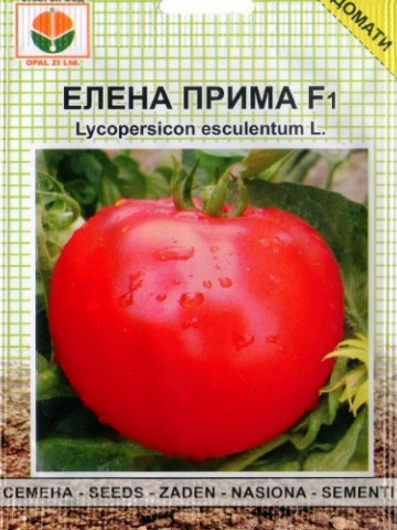Rosii Elena Prima F1 - 1 gr - Seminte tomate determinate semitimpurii