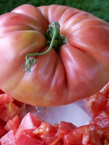 Rosii Gigant Roz (150 seminte) de Tomate Gigant Roz Soi Nedeterminat Semitimpuriu tip Beef, Florian Bulgaira