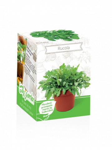 Rucola - Kit plante aromatice
