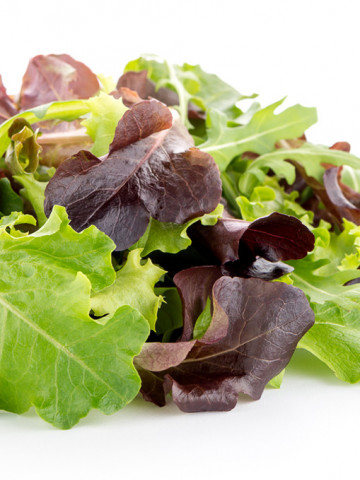 Salata Baby Leaf (2500 seminte) de salata, o varietate cu frunze mici excelente, Florian
