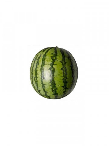 Santa Vittoria F1 - 500 sem - Seminte de pepene verde cu fructe dulci si greutate de 12-14 kg ce prezinta adaptabilitate excelenta la conditiile din Romania de la United Genetics