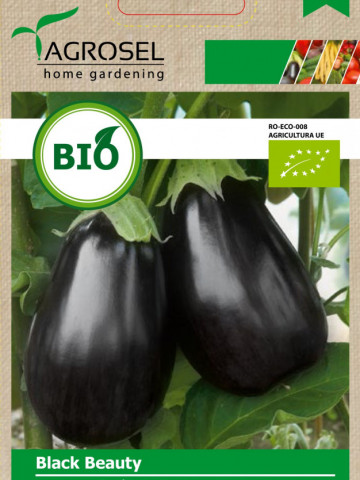 Seminte BIO vinete Black Beauty (200 seminte) de vinete forma rotund-ovala, ECO certificate ecologic, Agrosel