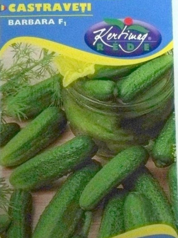 Seminte castraveti cornison Barbara F1 (2 gr), semitimpurii, Kertimag