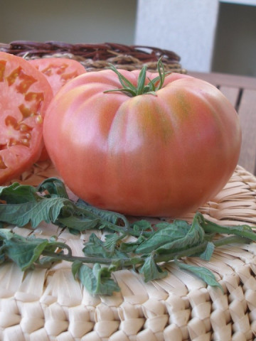 Seminte tomate Ideal Roz (0.2 gr), Rozov Ideal, soi nedeterminate semitimpurii, Opal