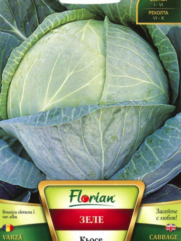 Seminte varza de toamna Kyose (1 kg) soi de varza tardiv foarte productiv, Florian