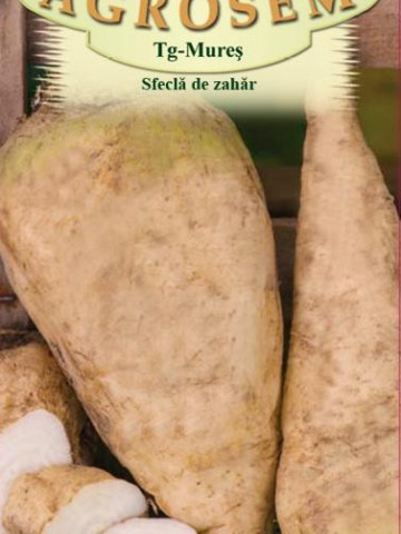 Sfecla de zahar Semizuccherina (1600 seminte), planta bienala industriala, Agrosem