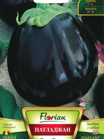 Vinete BLACK BEAUTY - 50 gr - Seminte de Vinete Florian Bulgaria Soi tardiv