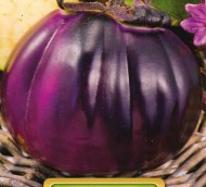 Vinete VIOLET DE FLORENS - 1 gr - Seminte de Vinete Florian Bulgaria Soi semitimpuriu
