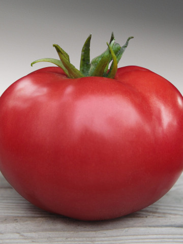 Zersy F1 (10 seminte) de tomate roz nedeterminate , Kitano Seeds