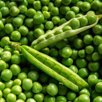 Ambassador (1 kilogram) mazare profesionala semitardiva, 4 Agro