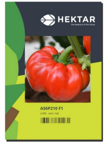 Ardei gogosar Tiberius AS6 210 F1, 500 seminte, Hektar
