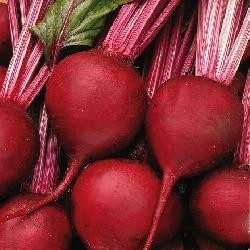 Bohan F1 - 10.000 sem - Seminte de sfecla rosie pentru depozitare foarte lunga de culoare rosie atragatoare fara inele de la Bejo