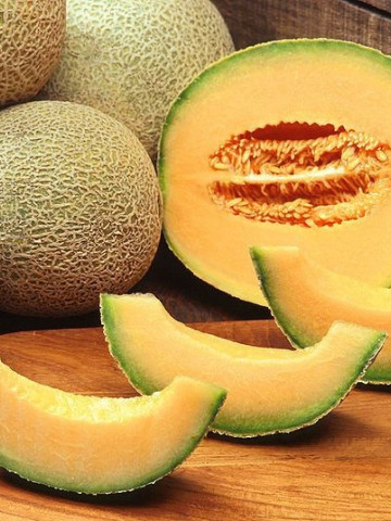 Cantalupo (2 gr) Seminte Pepene Galben Soi Timpuriu Forma Rotunda, Florian