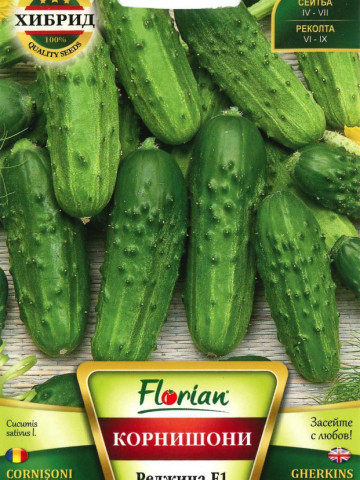 Castraveti cornison REGINA F1 - 1 gr - Seminte de Castraveti Cornison Hibrid timpuriu foarte productiv de la Florian
